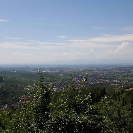Ferienwohnung Birkental Ebringen Экстерьер фото