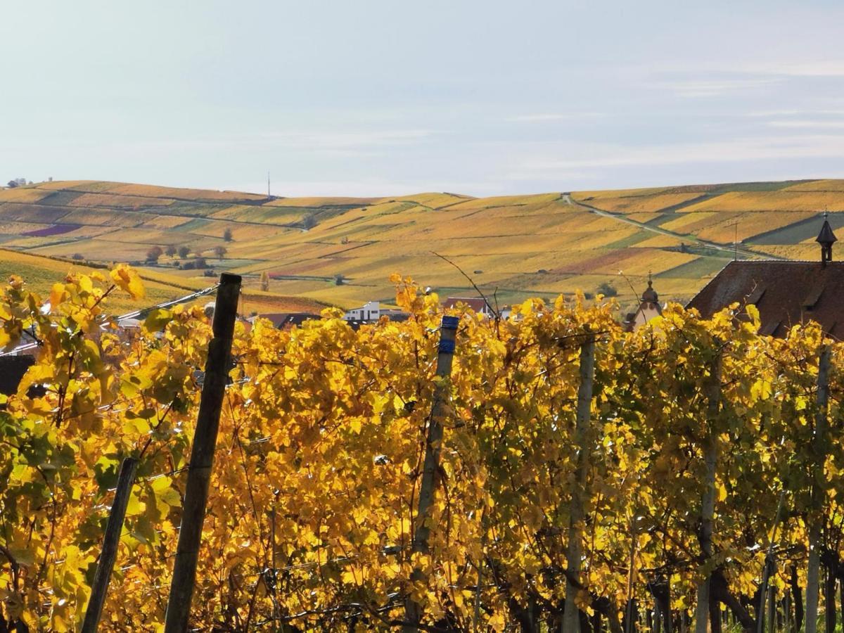 Ferienwohnung Birkental Ebringen Экстерьер фото