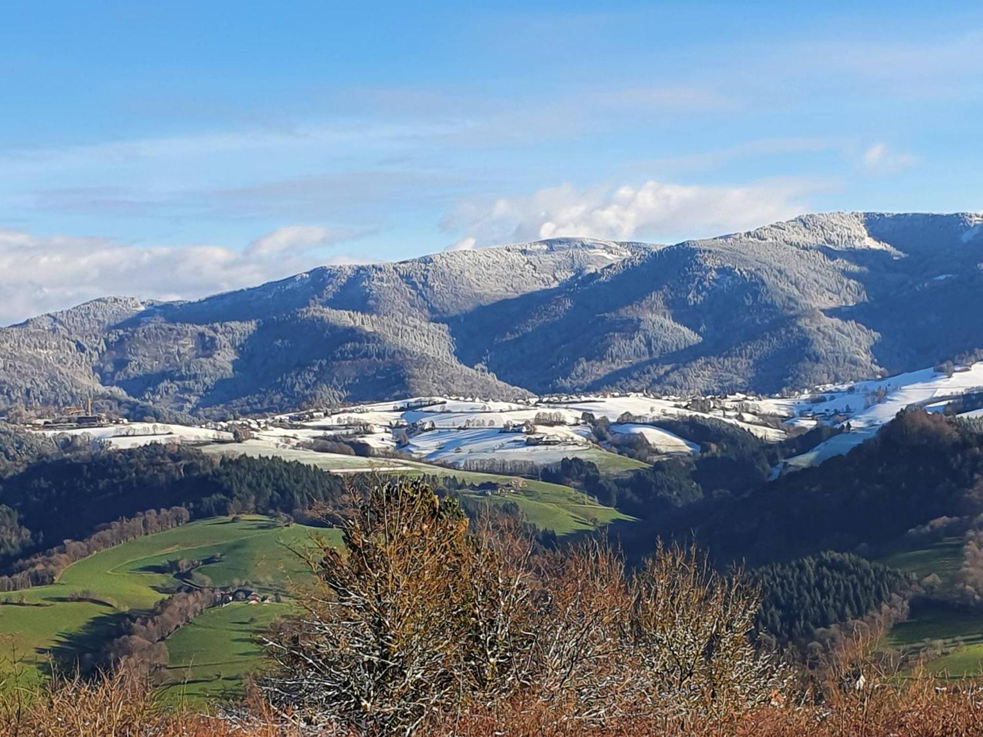 Ferienwohnung Birkental Ebringen Экстерьер фото